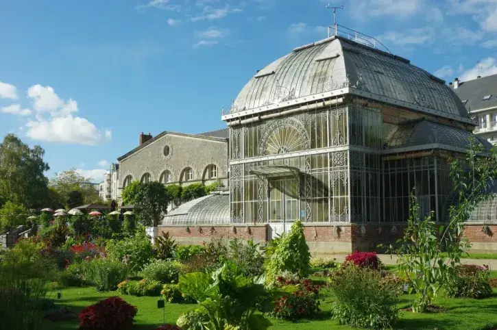 Palmarium au Jardin des Plantes