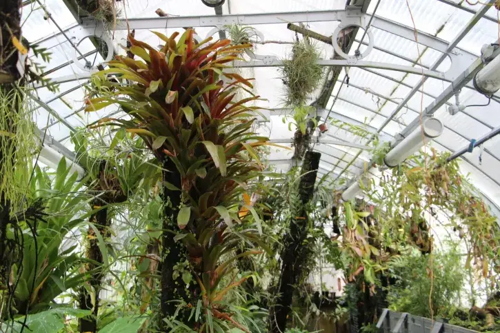 La serre tropicale d'exposition du Jardin des Plantes