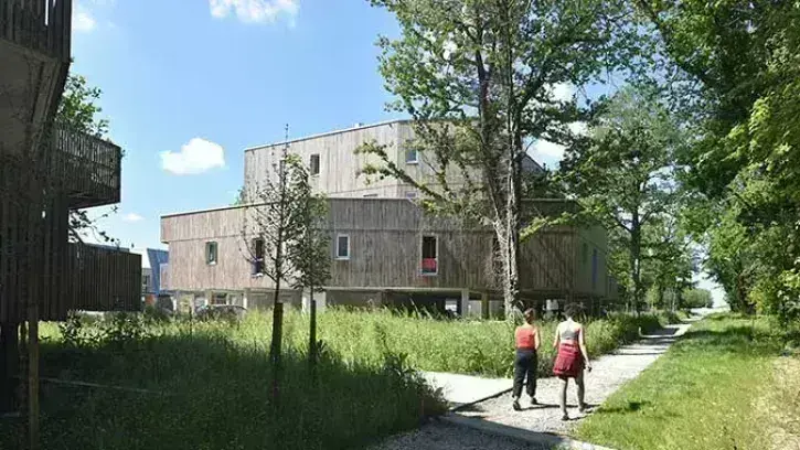 La Zac des vignes