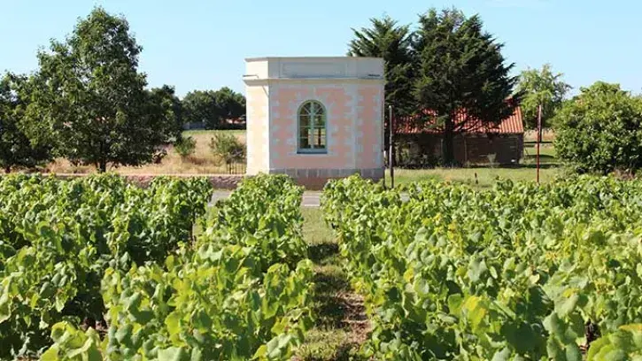 Le pavillon dans les vignes