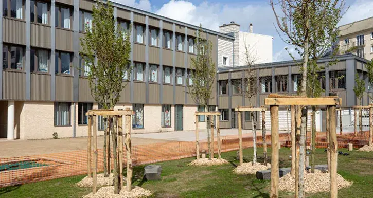 Des arbres récemment plantés dans un parterre de pelouse, devant les bâtiments de l'école du Coudray, à Nantes