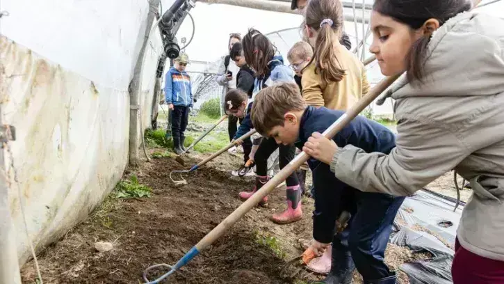 ferme-ecole-plantation