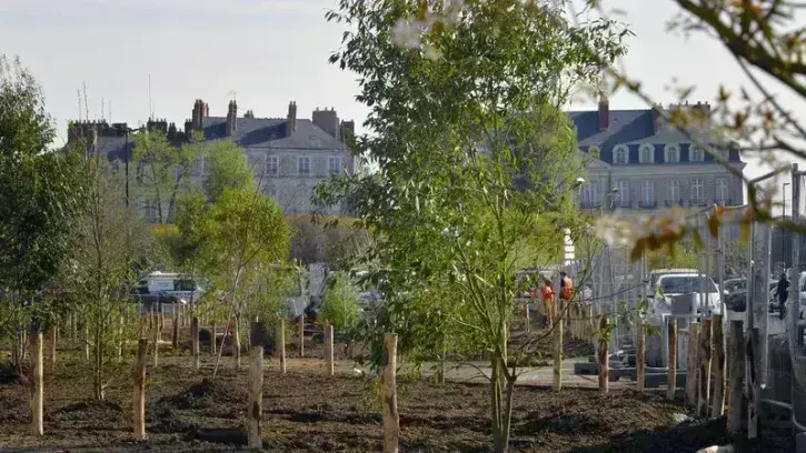 Gloriette - premierers arbres sur le parking 