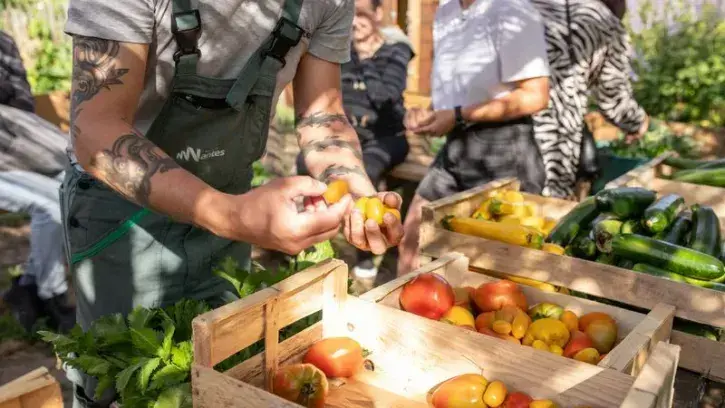 Récolte au potager solidaire du parc de la Crapaudine, dans le quartier Nantes Sud