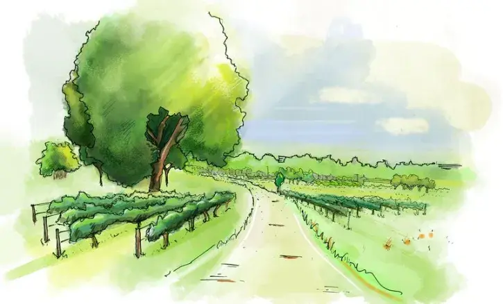 Illustration du verger du parc agricole et paysager des Dervallières.