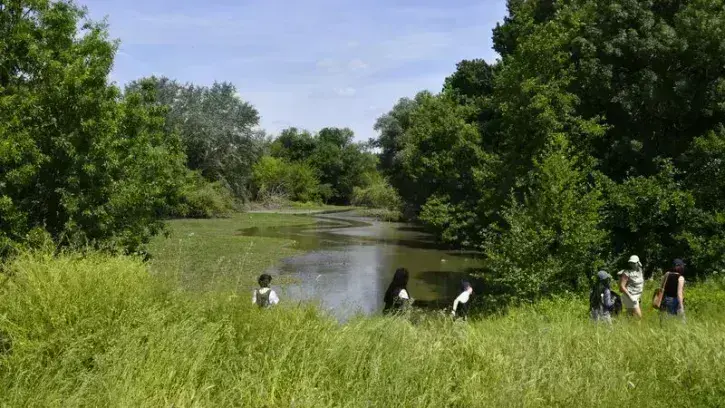 Le parc naturel de Beaulieu, poumon vert de 14 hectares à la pointe est de l'île de Nantes.
