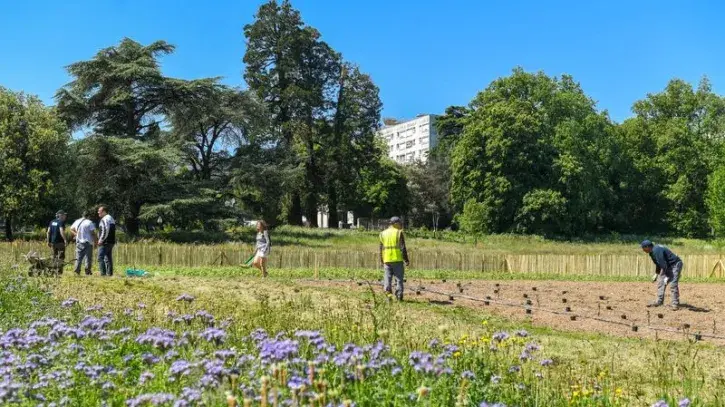 Le parc agricole et paysager des Dervallières, à Nantes.