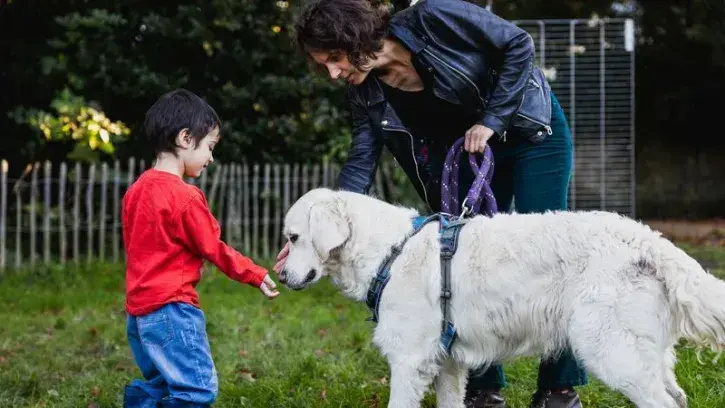 Un enfant approche un chien, tenu en laisse par sa propriétaire, dans le parc des Capucins à Nantes..