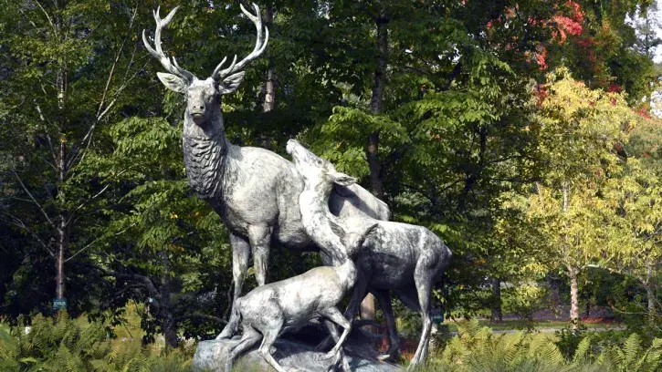 jardin des plantes statue du cerf
