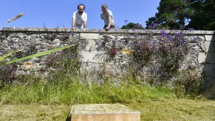 Deux jardiniers nantais observent des bacs aménagés pour les insectes pollinisateurs.