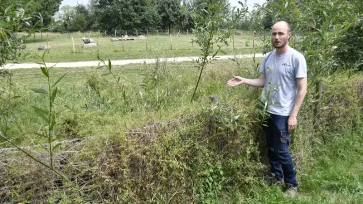 Un jardinier nantais devant une haie Benjes.