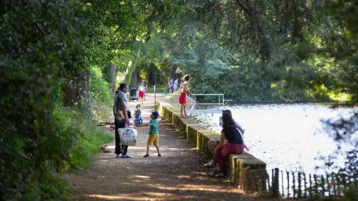 Des familles sous les arbres au bord de la Chézine.