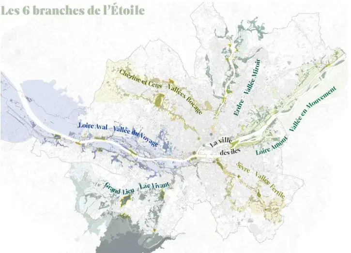 Plan du projet de l'Etoile verte montrant ses six branches correspondant aux vallées longeant les cours d'eau de la métropole.