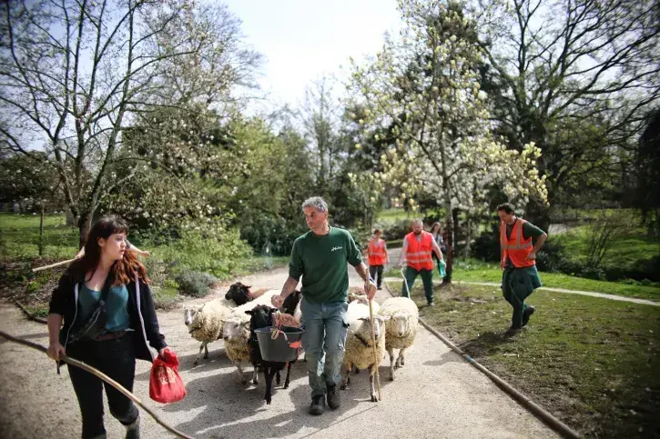 Première étape de la TranshuNantes : départ du parc floral de la Beaujoire le mercredi 29 mars direction l'Hippodrome de Petit Port. ©Romain Boulanger