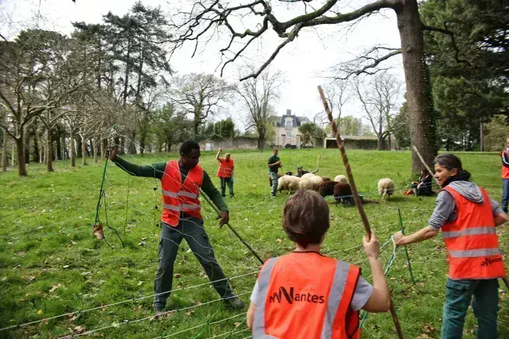 Arrivée à l'Hippodrome du Petit Port, l'installation de l'enclos a été faite en amont. © Romain Boulanger