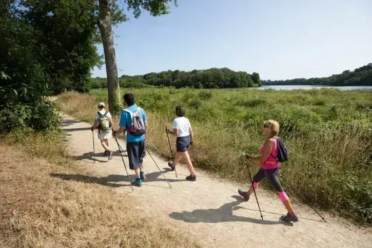 Le sentier découverte des bords de l'Erdre de la Gandonnière à la Grimaudière 