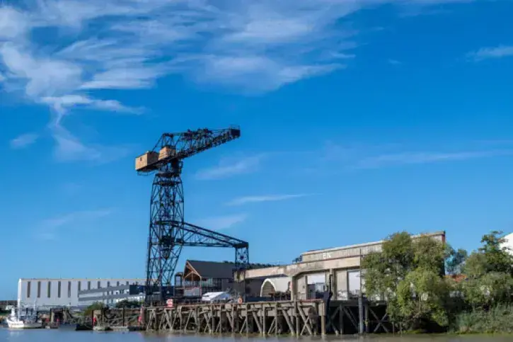 Image Grue Noire