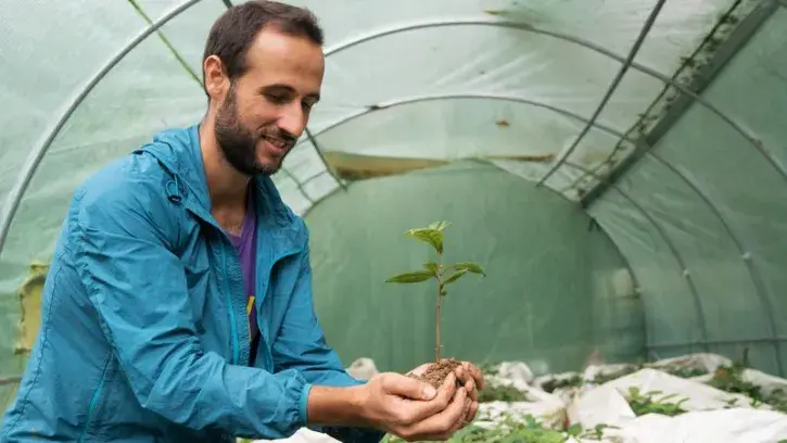 Depuis 2023, 4000 théiers et 400 arbustes s'enracinent sur la parcelle de Matthieu et Antoine, dans le parc de la Mevellière à Bouaye. Leur première récolte est prévue en 2026.