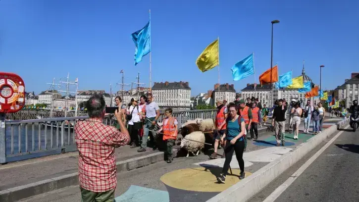 Ils sont guidés dans leur périple par les jardiniers municipaux et la bergère Déborah Biret, qui a passé plusieurs mois à les préparer à cette transhumance urbaine.