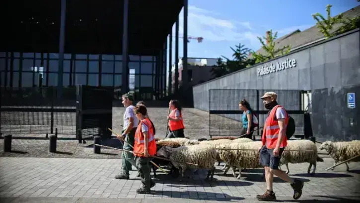 L'étonnant cortège est passé sous les fenêtre du palais de justice…