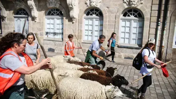 Et même devant les façades remarquables de l'île Feydeau.
