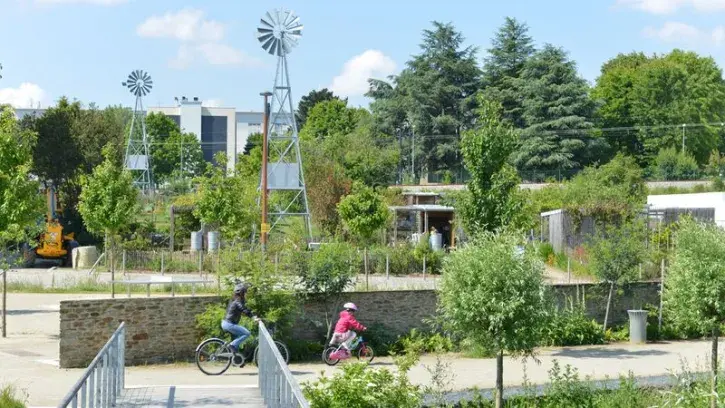Les jardins familiaux des Collines. © Nautilus