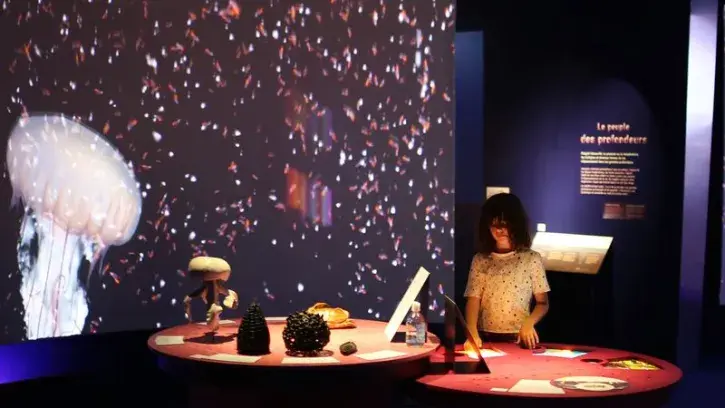 Une fois par mois à 19h, le Muséum propose des conférences autour des sciences et de l'océan, en écho avec l'exposition temporaire Océan © Romain Boulanger.