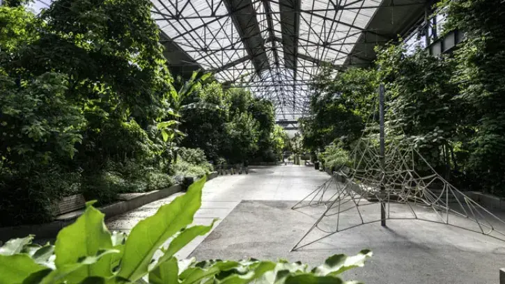 Immense et magnifique jardin en ville, le jardin des Fonderies rassemble dans près de 3 500 m² des végétaux exotiques, dans une halle issue de l’histoire industrielle nantaise. Ancienne fonderie, ce site fait l’objet d’une restructuration d’ensemble en 20