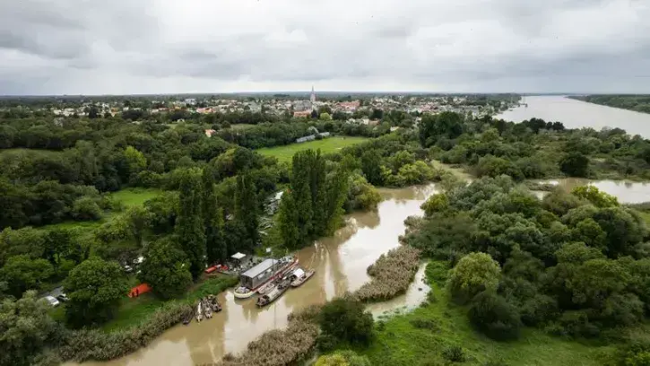 Jeudi 31 août, la flotte s'est rassemblée à Saint-Jean-de-Boiseau, avant le lancement officiel sur les quais de Nantes. © Jean-Félix Fayolle