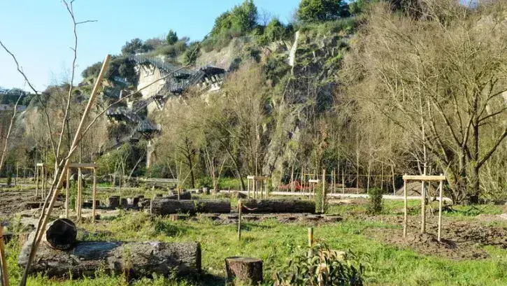 Les premières plantations d'arbres et de vivaces ont débuté. Cette nouvelle portion du jardin sera à l'arrivée très boisée avec 430 arbres au total, dont 280 nouveaux. © Simon Aubron-Cherel