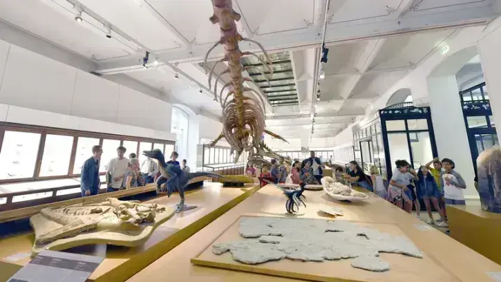 Édifié en 1875, le bâtiment du Muséum d'histoire naturelle va voir ses surfaces d'exposition pratiquement doubler à l'horizon 2028 © Rodolphe Delaroque.