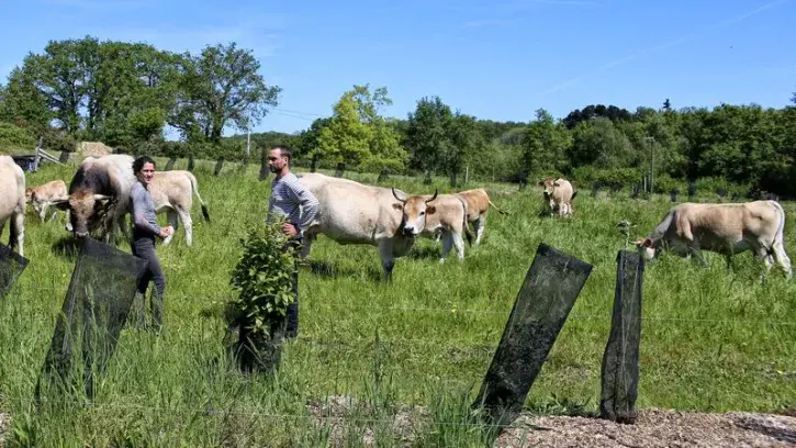 Josselin Guedas et Noémie Le Heurte, de l'écoferme des 1001 pattes, plantent chaque année 1 kilomètre de haies sur leur ferme. © Romain Boulanger pour Nantes Métropole