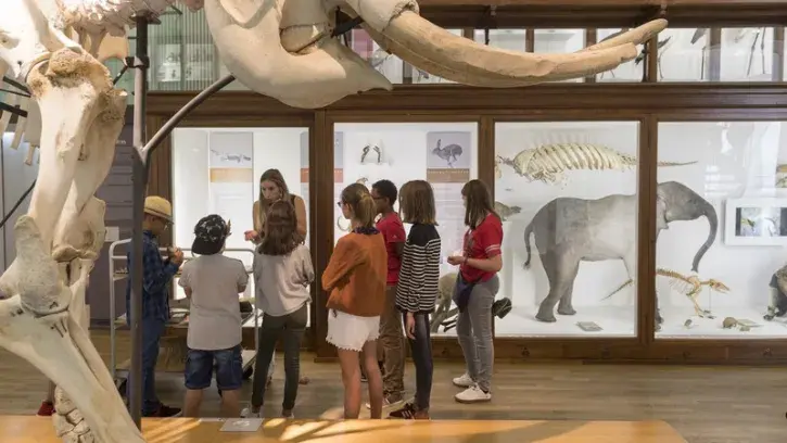 Visite au museum pour les détenteurs de la carte Nantado