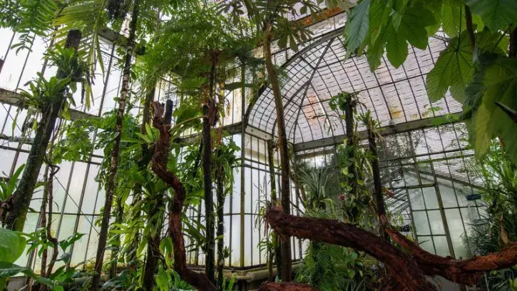 L'artiste Thomas Cochini a créé une ambiance sonore spécialement pour le Palmarium du Jardin des plantes. Cet été, vivez une expérience tropicale à Nantes, en plongeant sous la canopée de la jungle guyanaise… © Patrick Garçon