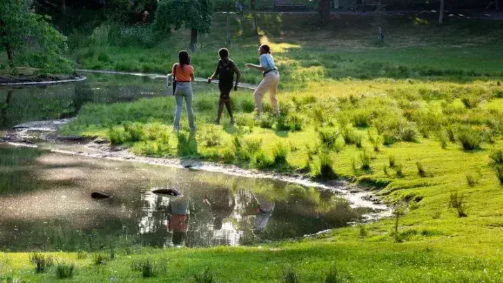 Au Parc de Procé, un oasis de biodiversité a été créé sur les berges de la Chézine. © Christiane Blanchard