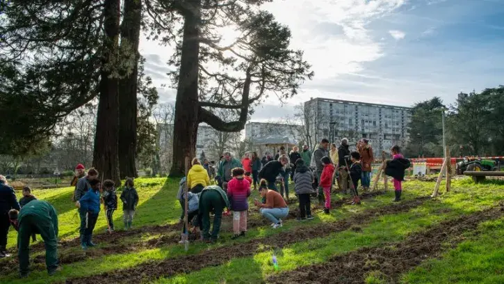 Le 15 février, les élèves des écoles Carcouët, Châtaigniers et Chézine ont prêté main forte aux habitants et aux jardinières et jardiniers municipaux pour planter des ceps de vignes, des framboisiers et groseilliers près des ruines du château des Dervalli