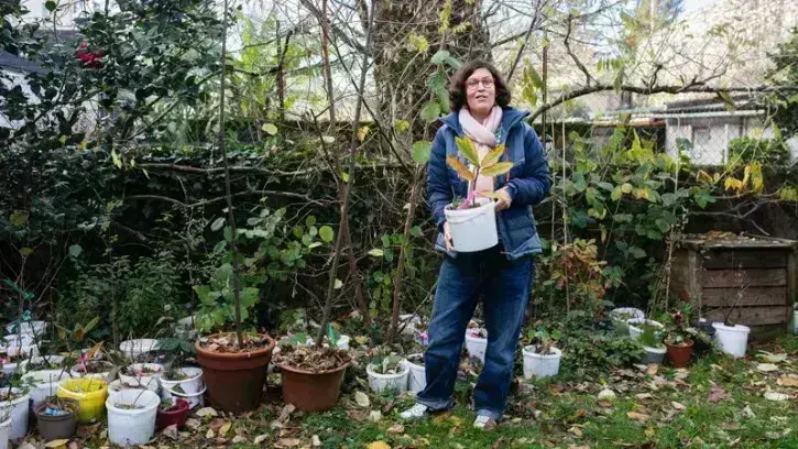 L'association fondée par Marion Huet récupère des pousses d'arbres pour les confier à des familles d'accueil jusqu'à ce qu'ils atteignent 1 mètre de haut, et les replanter ensuite dans un périmètre de 30 km autour de Nantes Sud. © Céline Jacq pour Nantes 