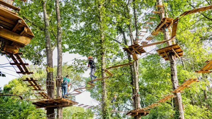 Depuis l'été 2023, un accrobranche est venu s'installer dans les arbres du parc Beaulieu. Pour préserver la nature, cet espace ludique est spécialement conçu de manière à avoir un impact au sol très limité. © Garance Wester