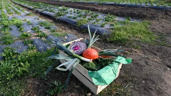 Face à la crise alimentaire, Nantes Métropole veut expérimenter, au niveau local, ce que pourrait être demain une « Sécurité sociale alimentaire » permettant l'accès à des produits frais et de qualité. © Marc Roger