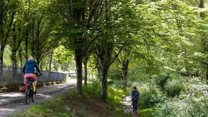La métropole nantaise compte 1 million d'arbres pour 680 000 habitants. Cette canopée couvre 25,5 % de la superficie du territoire. © Jean-Félix Fayolle