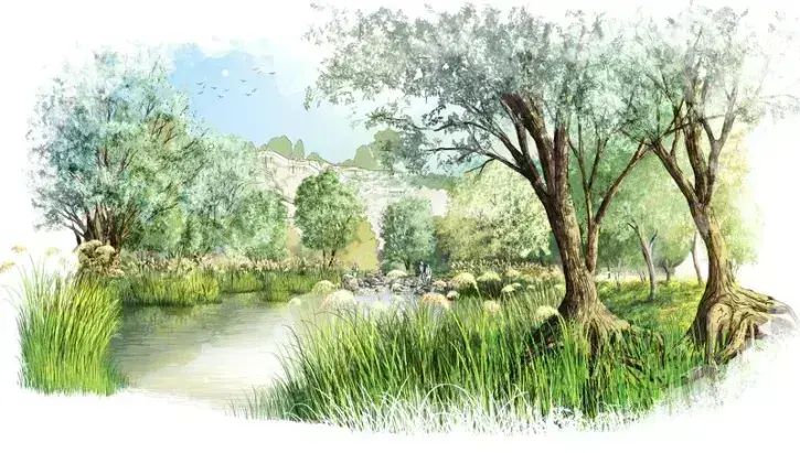 Projection du futur marais, avec ses saules aux racines aériennes, ses tourbières, ses plantes carnivores et ses roselières. © Phytolab