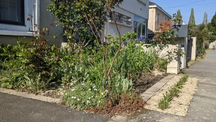 exemple de jardin de pluie