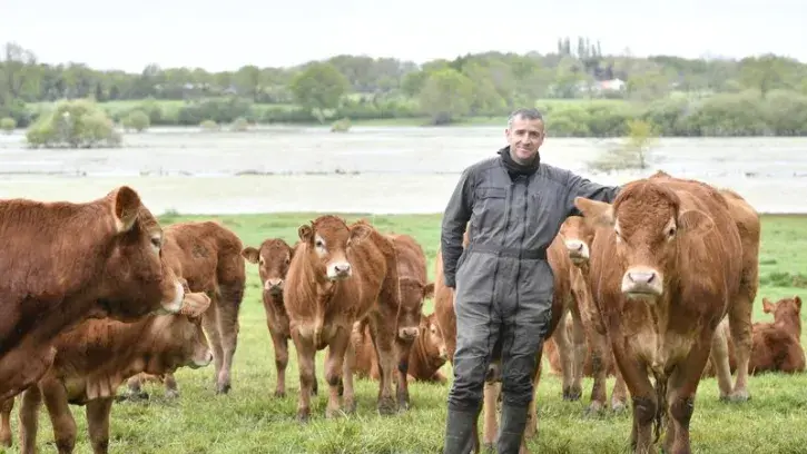 Thomas Perrochaud, éleveur de vaches à Sainte-Pazanne, s'est engagé en 2018 dans le projet de création d'un abattoir de proximité, porté par 150 éleveurs du Sud-Loire et du Nord Vendée. © Rodolphe Delaroque