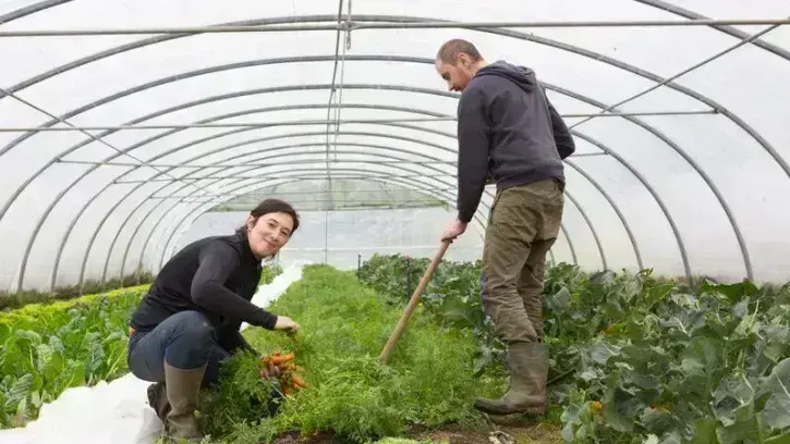 L'accès au foncier et au logement sont l'un des principaux freins à l'installation de nouveaux agriculteurs. À l'image de la Fermette du Bois Olive, Nantes Métropole déploie de nouveaux moyens pour préserver l'activité agricole et faciliter la transmissio