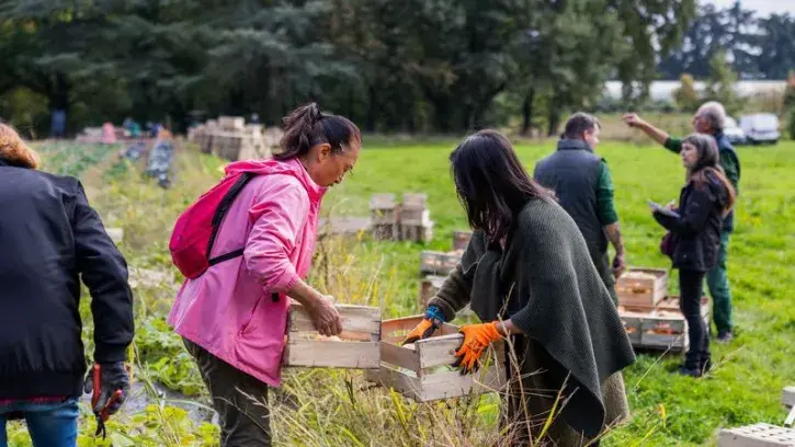 A l'occasion de la Fête des récoltes, 200 jardiniers bénévoles et habitants bénéficiaires ont récolté 1,5 tonnes de courges et 500 kg de choux, les 2 et 3 octobre au Grand-Blottereau.  © Garance Wester