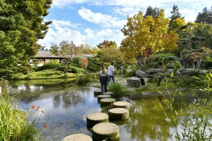 Les pas japonais du jardin de l'ile de Versailles © Stephan Menoret