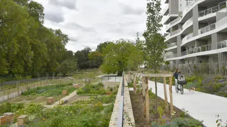 Côté potager, le 28e site de jardins familiaux de Nantes abrite 11 parcelles individuelles, ainsi qu'une parcelle collective de 300 m2 cultivée par 15 foyers du quartier. © Rodolphe Delaroque