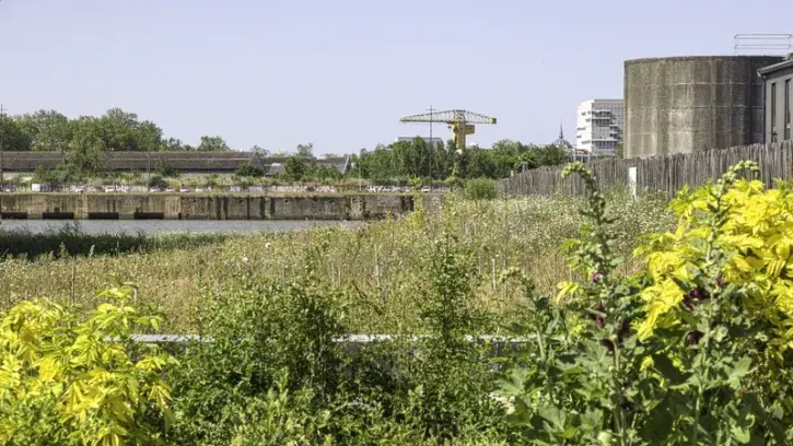 Le jardin de la Cale Aubin, aménagé à la place de l'ancien dépôt Conforama, offre des vues inédites sur la Loire et l'île de Nantes. © G. Satre pour Nantes Métropole Aménagement