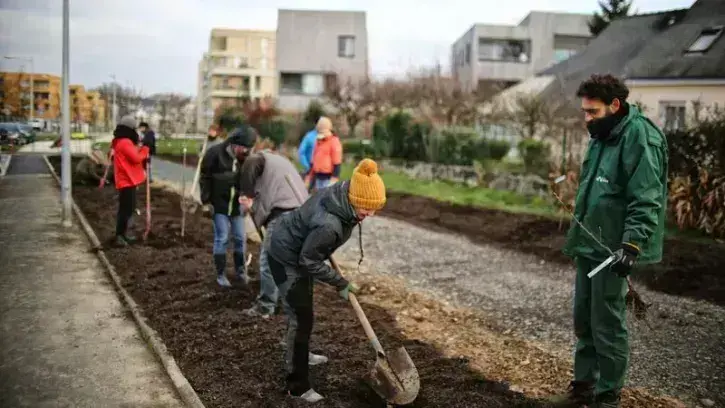 Cette première séance de l'année sera suivie d'autres plantations : jeunes plants forestiers au Petit-Port, fruitiers rue du Fort, puis au Port-Boyer. © Romain Boulanger