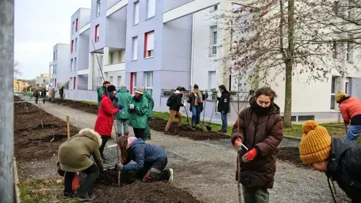Une vingtaine de bénévoles sont venus prêter main forte aux jardiniers de la Ville de Nantes pour planter une centaine d'arbres le long de la rue du Haut-Launay, de part et d'autre de l'avenue de l'Aven. © Romain Boulanger